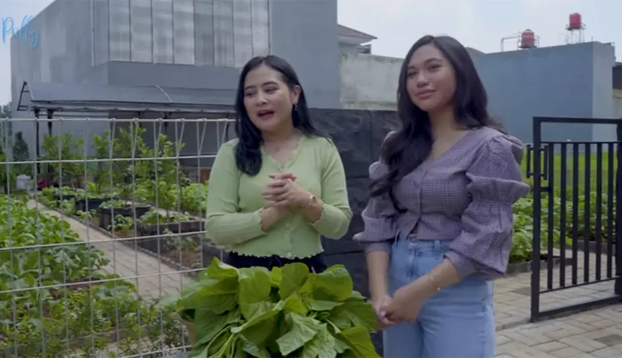 Kebun sayur Prilly Latuconsina (Youtube/ Prilly Latuconsina)