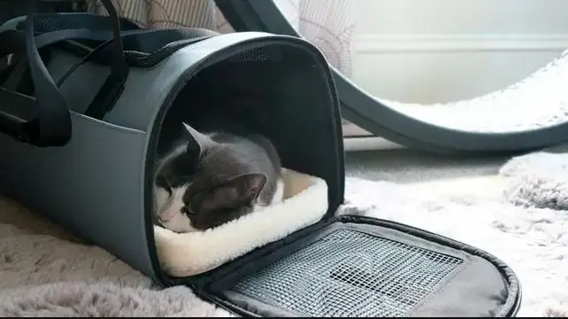 Away Pet Carrier