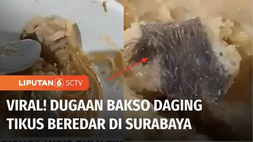 VIDEO: Warung Bakso di Surabaya Dituding Pakai Daging Tikus, Penjual Lapor Polisi