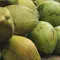 Hari Kelapa Sedunia (World Coconut Day): Produksi Kelapa di Indonesia