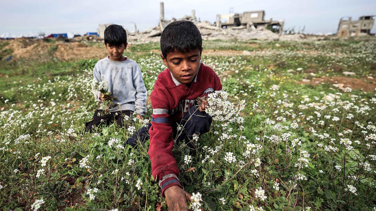 Tanpa Pendidikan, Anak-anak di Gaza Terancam Jadi Generasi yang Hilang