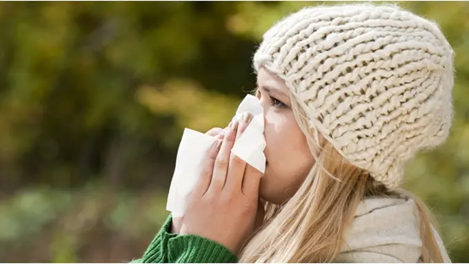 copyright by shutterstock.com