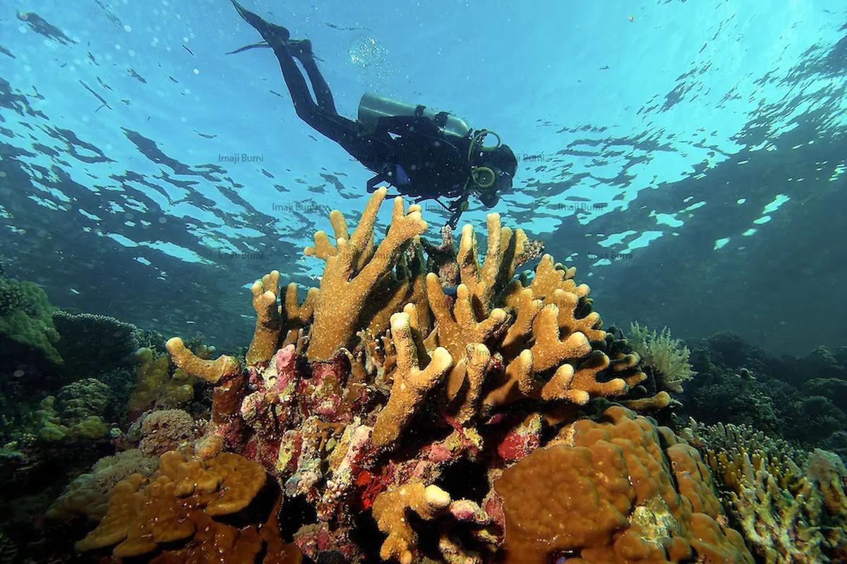 Taka Bonerate, Bukti Kalau Sulawesi Tak Hanya Punya Wakatobi