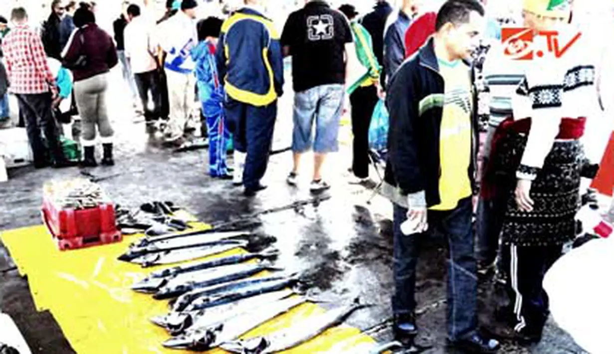 Ikan hasil tangkapan nelayan Kalk Bay, Cape Town, Afsel.