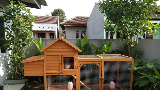 Kandang Kombinasi Kandang dan Run Mini