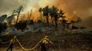 Petugas pemadam kebakaran berusaha memadamkan api yang membakar kawasan Sonoma, California, Amerika Serikat, Sabtu (26/10/2019). Kebakaran hutan di California kian tak terkendali akibat angin kencang yang bertiup. (AP Photo/Nuh Berger)