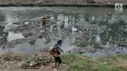 Petugas UPK Badan Air Dinas Lingkungan Hidup Provinsi DKI Jakarta membersihkan rerumputan dan sampah di dasar aliran Kanal Banjir Timur, Jakarta, Rabu (7/8/2019). Kemarau berkepanjangan mengakibatkan debit air Kanal Banjir Timur menyusut hingga dasar aliran terlihat. (merdeka.com/Iqbal Nugroho)