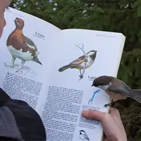 Objek-objek berikut ini hadir seperti seni-seni yang sudah ada lebih dulu. (Via: boredpanda.com)