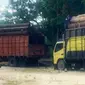 Truk pembawa kayu hasil perambahan hutan Rimbang Baling di Kecamatan Kampar Kiri Hulu yang sempat dihadang orang tak dikenal. (Liputan6.com/M Syukur)