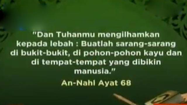 Karamah Belajar Hidup Bergotong Royong Dari Lebah Ramadan Liputan6 Com
