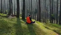 Healing Forest Bisa Redakan Stres hingga Tingkatkan Imunitas