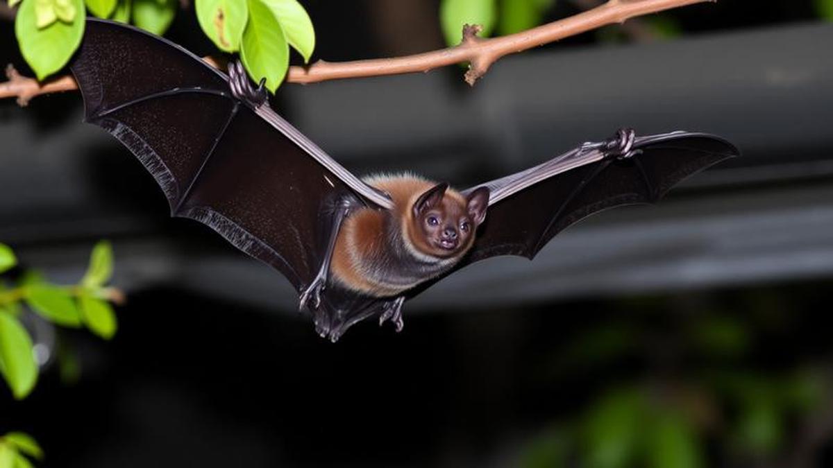 Virus Nipah Mengendap di Alam, Ancaman Diam-diam bagi Manusia