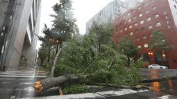 Pohon besar tumbang akibat angin topan jebi di jalan Midosuji di Osaka, (4/9). Topan Jebi yang melanda Jepang kali ini merupakan yang terkuat selama 25 tahun terakhir. (AFP Photo/Jiji Press)