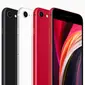 Wujud iPhone SE (2020). Penerus seri ikonik yang diluncurkan pada 2016, iPhone SE teranyar ini dijual seharga USD 399 atau setara Rp 6,2 jutaan untuk varian memori 64 GB. (Apple via AP)