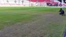 Kondisi rumput Stadion Utama Gelora Bung Karno (SUGBK) di Senayan, Jakarta, Senin (13/3/2023). Rumput lapangan SUGBK cukup memprihatinkan setelah stadion yang akan digunakan untuk Piala Dunia U-20 2023, dipakai menggelar dua konser musik. (Liputan6.com/Angga Yuniar)