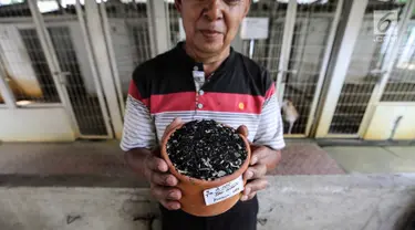 Tukidjo menunjukkan abu hewan peliharaan usai kremasi di Pondok Pengayom Satwa Jakarta, Senin (8/4). Pondok Pengayom Satwa menjadi tempat favorit bagi pemilik semua jenis hewan. (Liputan6.com/Fery Pradolo)