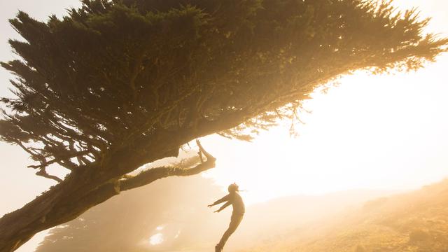 Ilustrasi Mimpi Terbang