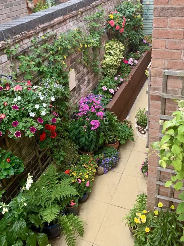 Desain Taman Atap Rumah Lahan Kecil