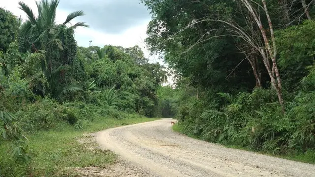 Kementerian PUPR membangun jalan akses Tering-Long Bagun sepanjang sekitar 145 km yang menghubungkan Kabupaten Kutai Barat dan Kabupaten Mahakam Ulu. (Maul/Liputan6.com)