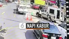 vertical napi kabur