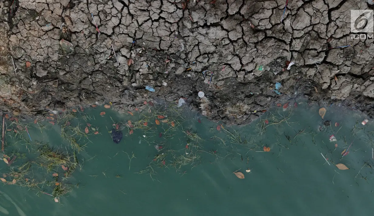 Kondisi Danau Sunter yang berwarna hijau di Jakarta Utara pada Senin (8/7/2019). Lamanya musim kemarau di Ibu kota menjadi penyebab danau tersebut berubah warna menjadi hijau yang dipicu oleh pertumbuhan lumut. (Liputan6.com/Immanuel Antonius)