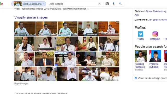 Hasil penelusuran Google Image