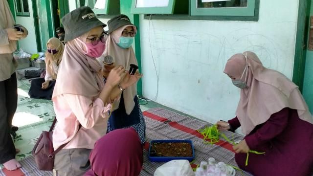 Mahasiswa Unusa Ajak Warga Gresik Mengenal Teknik Tanam Hidroponik Surabaya Liputan6 Com