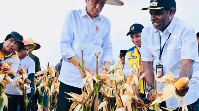 Presiden Joko Widodo (Jokowi) meninjau lokasi pengembangan Food Estate di Kampung Wambes, Kabupaten Keerom, Papua.