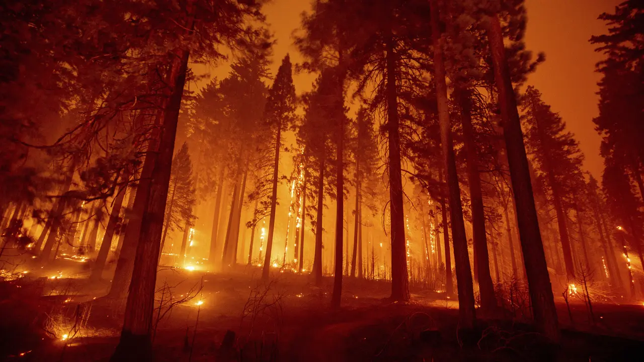 FOTO: Pemandangan Mengerikan Kebakaran Hutan di California