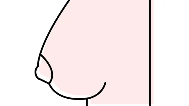 [Bintang] Payudara Besar