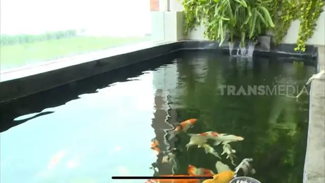 Rumah Eriska Rein