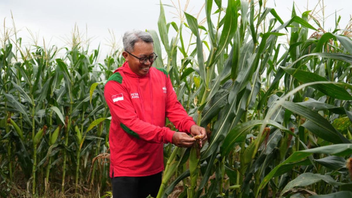 Cerita Lani Ungkap Rahasia Sukses Menjadi Petani