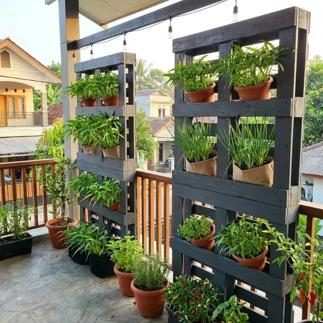 Desain Balkon Rumah yang Bisa Jadi Kebun Sayur Mini