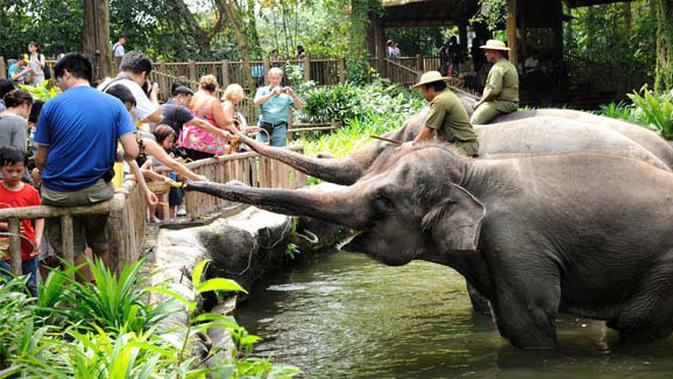  Kebun Binatang  di Indonesia Bikin Hewan Menderita 