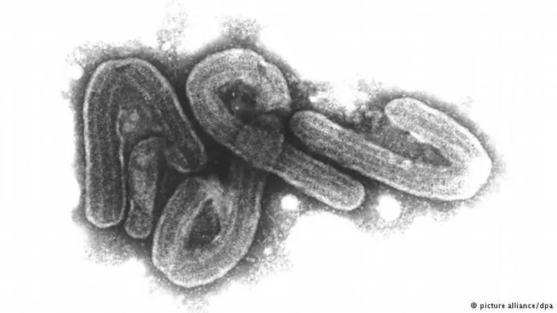 Virus Mematikan