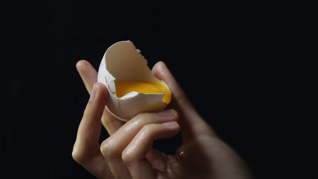 Ilustrasi kuning telur