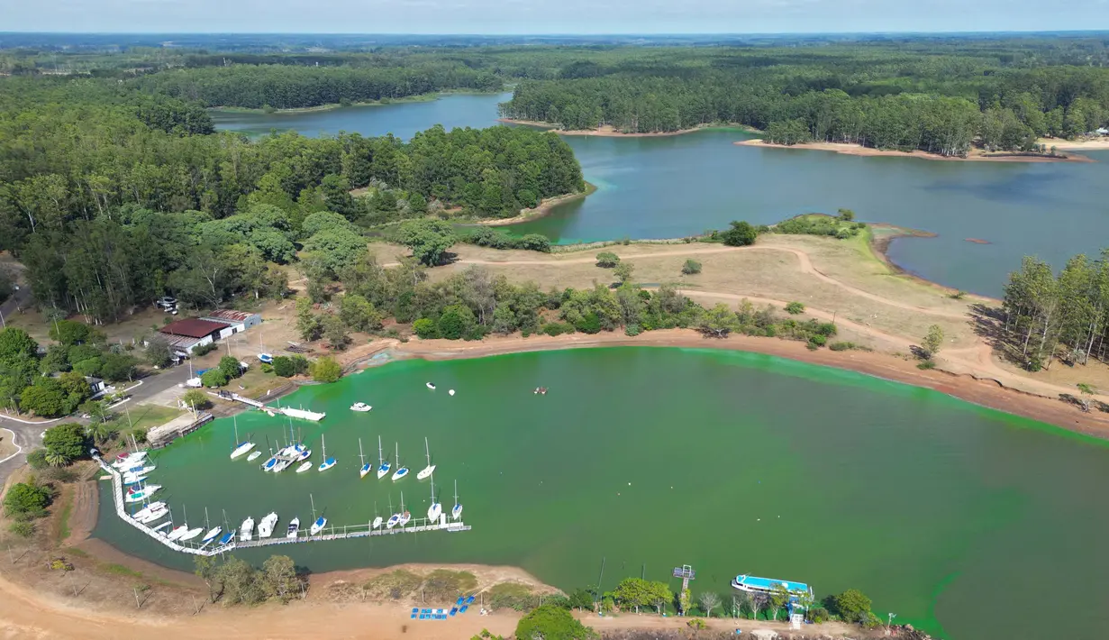 Pemandangan udara memperlihatkan danau Salto Grande yang diselimuti lendir hijau karena sianobakteri, di Sungai Uruguay, dekat Concordia, Entre Rios, Argentina pada 13 Februari 2025. (JUAN MABROMATA/AFP)