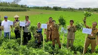PT Pupuk Kalimantan Timur (Pupuk Kaltim) gelar sosialisasi program Agrosolution dan pelatihan pembuatan kompos