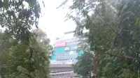 Akibat hujan deras, pohon di Semanggi Jakarta Selatan tumbang. Kondisi ini menutupi bagian ruas jalan. (TMC Polda Metro Jaya)