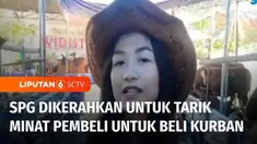 Berbagai cara dilakukan pedagang hewan kurban untuk menarik minat pembeli di Surabaya, Jawa Timur. Pedagang hewan kurban menghadirkan sales promotion girl (SPG) di lapaknya.
