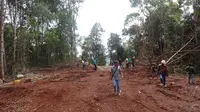 Aksi perambahan hutan terjadi di Desa Semuntai, Kabupaten Paser, Kalimantan Timur. Kawasan hutan sepanjang 3,5 kilometer dengan lebar 8 meter dibuka dan diduga untuk jalan tambang.