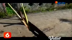 Sebuah jembatan di jalur lintas selatan Jember putus, Jembatan ini terputus setelah area penopang jembatan ambrol terkikis derasnya air Sungai Tanggul.
