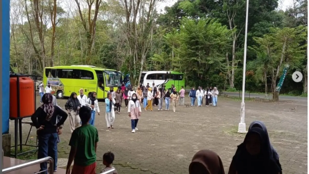Usai 4 Harimau Mati, Walhi Sumut Imbau Medan Zoo Segera Ditutup