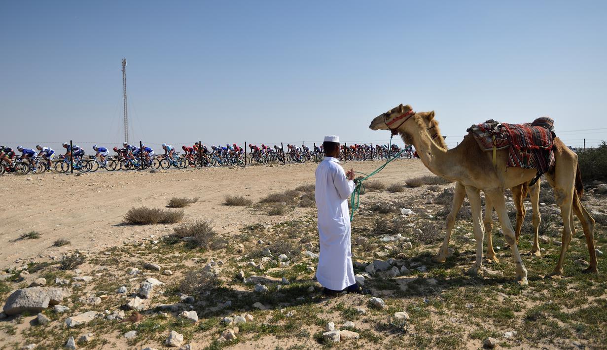 Deretan pebalap sedang berlomba dalam Etape 4 Tour of Qatar antara Al-Zubarah Fort dan Madinat Al-Shamal, (11/2/2016). (AFP/Eric Feferberg)