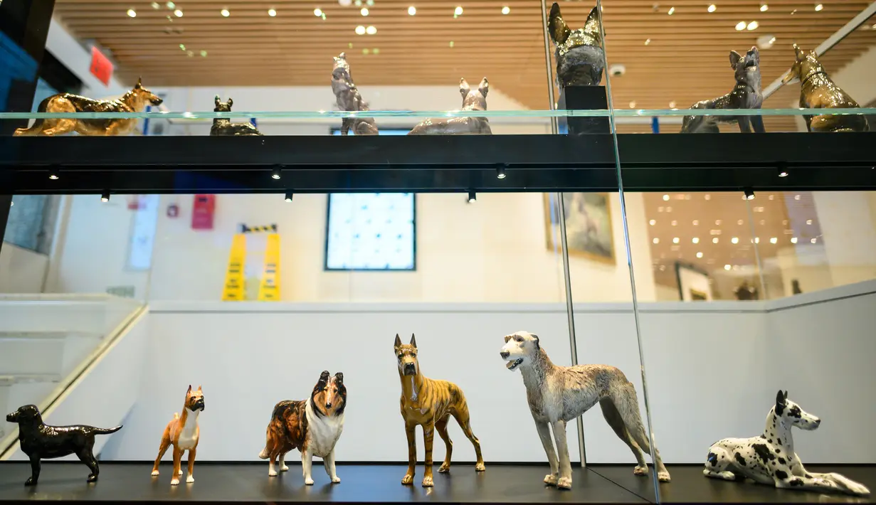 Sejumlah tokoh anjing yang ditampilkan di museum anjing bernama Museum of the Dog di New York City, 1 Februari 2019. Selain lukisan, museum ini juga akan memajang aneka patung, hiasan porselen, buku, hingga poster film bertema anjing (Johannes EISELE/AFP)