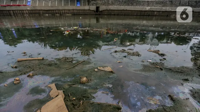 Sungai Ciliwung
