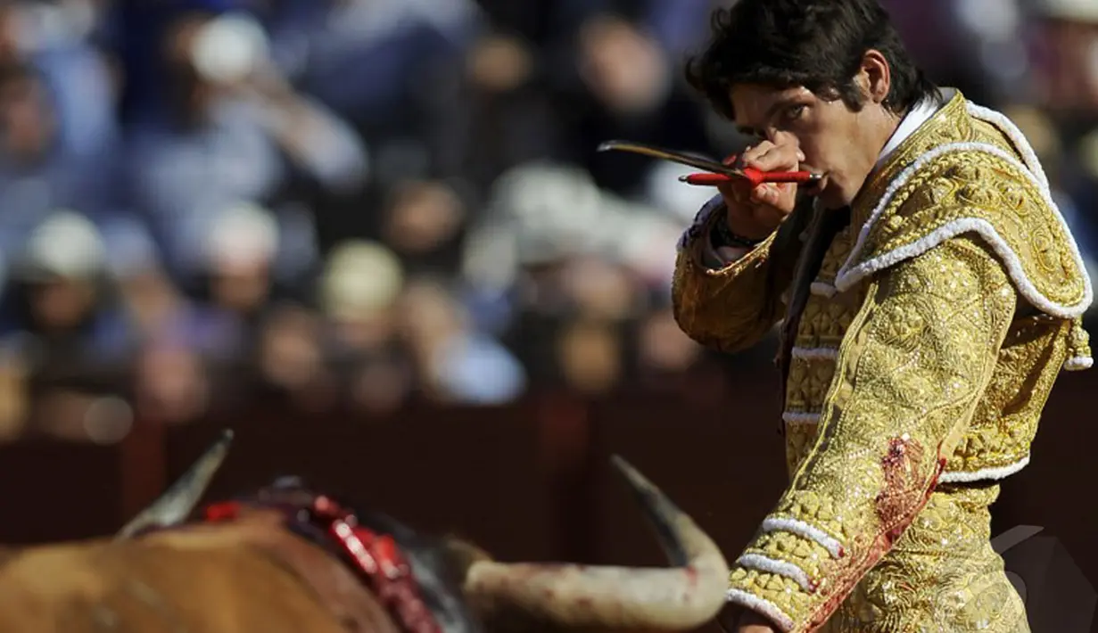  Seorang matador bersiap-siap menyerang banteng yang akan menyerangnya di arena adu banteng, Maestranza, Sevilla, Senin (5/5/2014) (AFP Photo/Gogo Lobato).