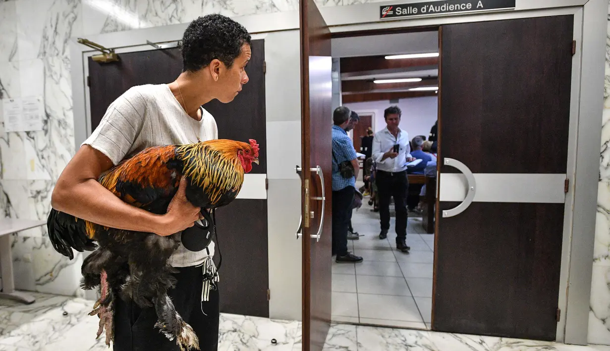 Seorang wanita memegang ayam jantan di pengadilan tinggi (Tribunal de Grande Instance) di Rochefort, Prancis barat, Kamis (4/7/2019). Ayam bernama Maurice tersebut dituduh terlalu berisik oleh tetangganya sehingga menyebabkan polusi suara yang berlebihan. (Photo by XAVIER LEOTY / AFP)