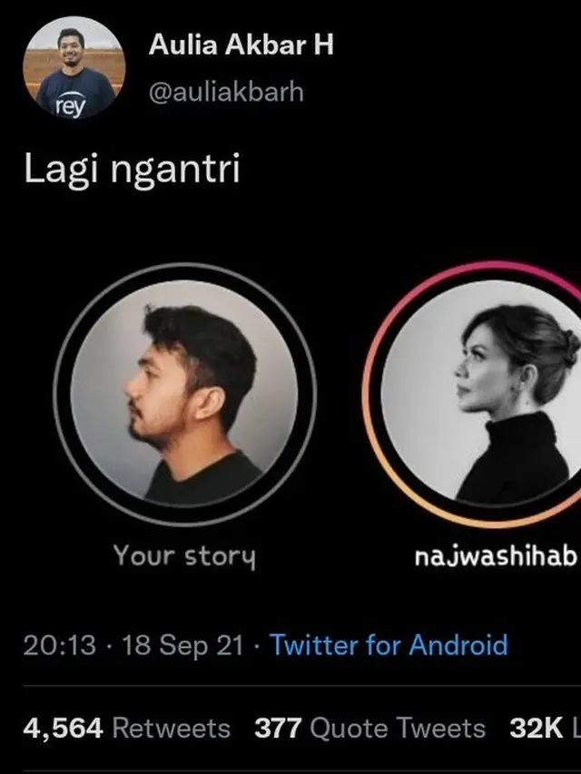 Kreasi Meme Foto Profil Najwa Shihab Ala Warganet, Bikin Ketawa Geli. (Sumber: Twitter/auliakbarh)