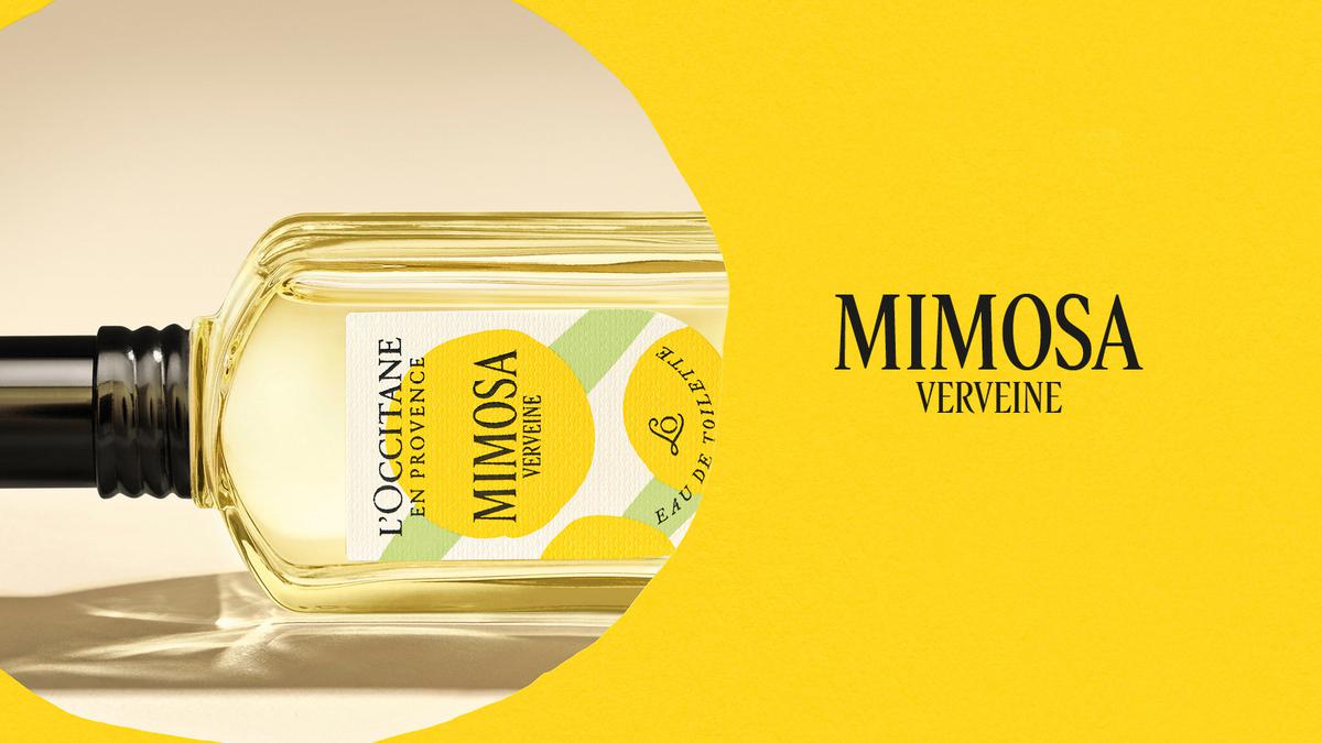 L'OCCITANE Rilis Mimosa Verveine, Koleksi Parfum Limited Edition Bernuansa Musim Dingin Provence